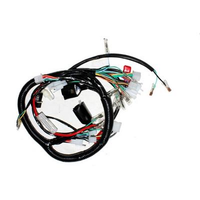 Mondial 100 UAG - MG Class Elektrik Tesisatı Komple 2013