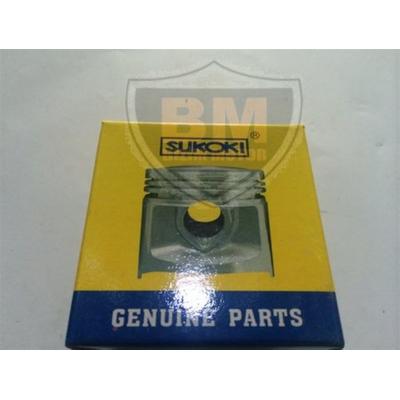 Suzuki AN 125 Piston Sekman Takımı