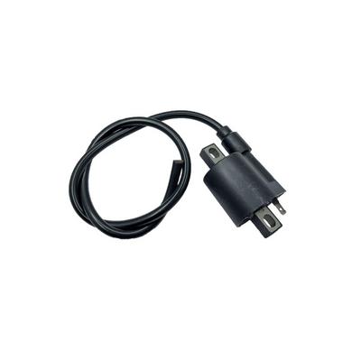 Kanuni Breton 125 Ateşleme Dış Bobin