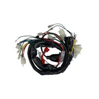 Asya Kuba CG Akü Destekli Elektrik Tesisatı