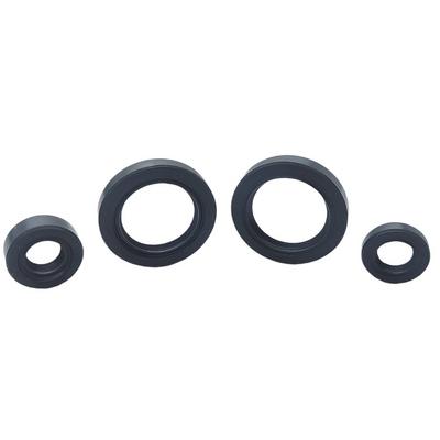 Bajaj Pulsar NS 200 Motor Keçe Takımı