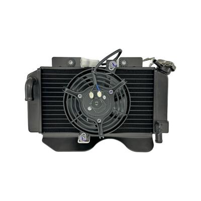 Cf Moto NK 250 Radyatör Komple 2020