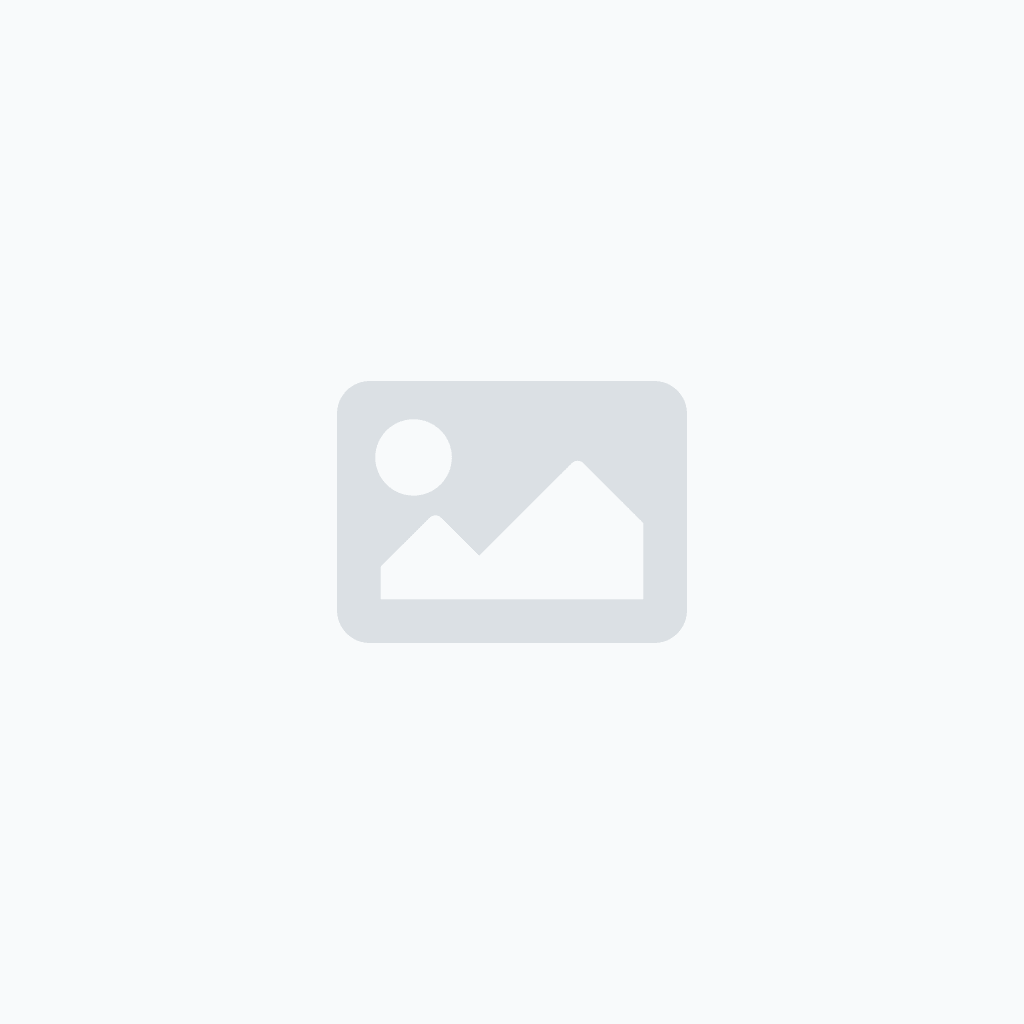 Yp X-Max 250 Sinter Arka Fren Balatası 2017-20